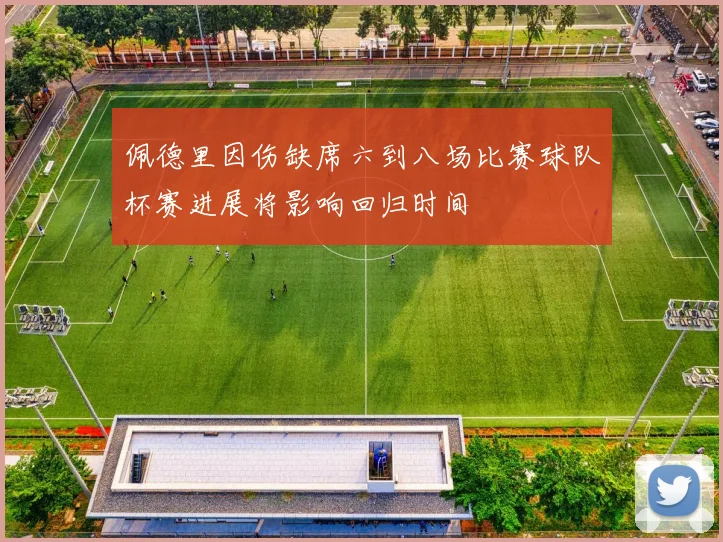 佩德里因伤缺席六到八场比赛球队杯赛进展将影响回归时间