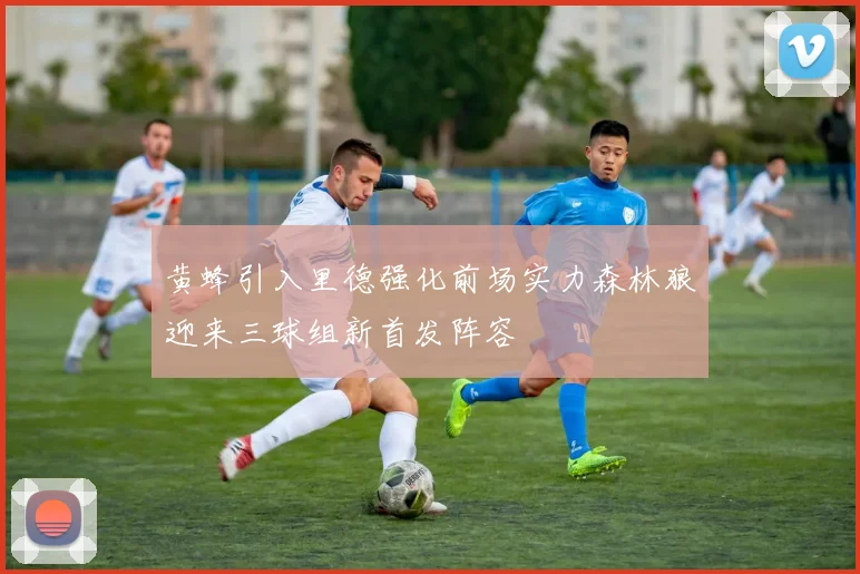 黄蜂引入里德强化前场实力森林狼迎来三球组新首发阵容
