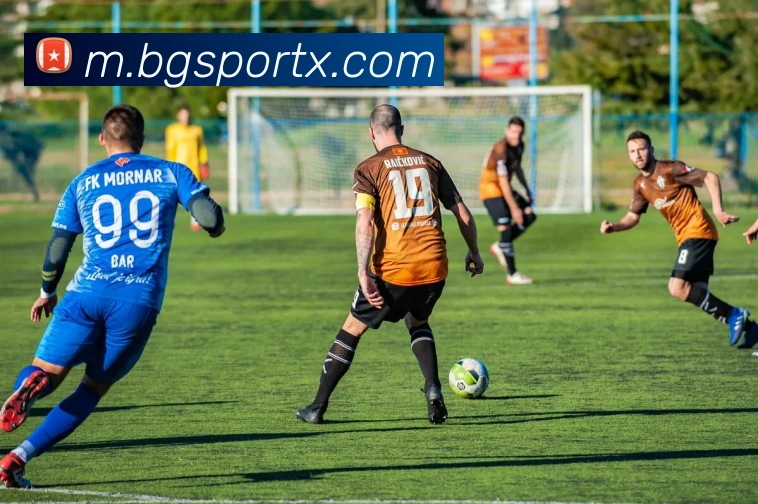 BG真人服务体系